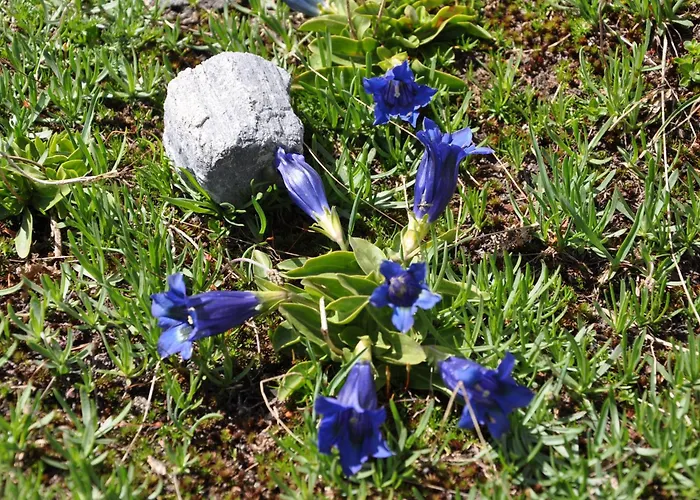 Les Barmes Apartment *