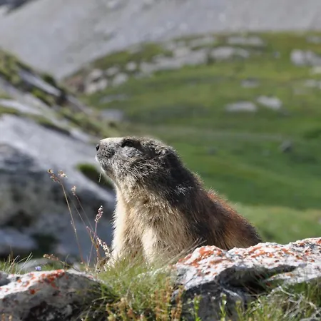 Les Barmes 라 플라뉴