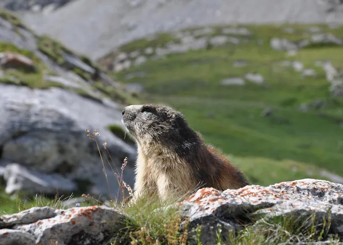 Les Barmes La Plagne
